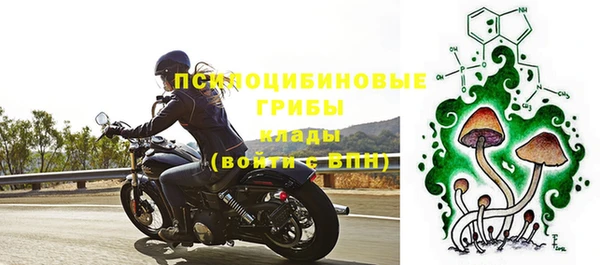 ГАЛЛЮЦИНОГЕННЫЕ ГРИБЫ Армянск