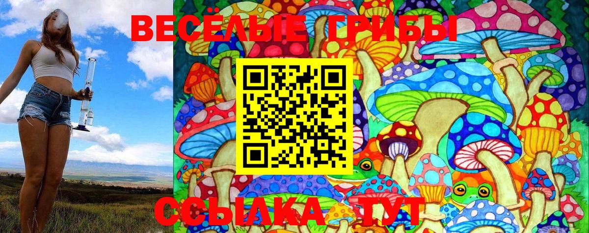 Псилоцибиновые грибы MAGIC MUSHROOMS  Галлюциногенные грибы MAGIC MUSHROOMS  Георгиевск  Вход с VPN 