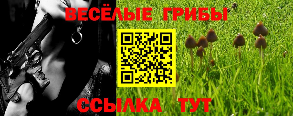Псилоцибиновые грибы ЛСД Георгиевск