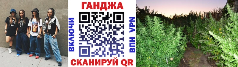 Канабис конопля Георгиевск