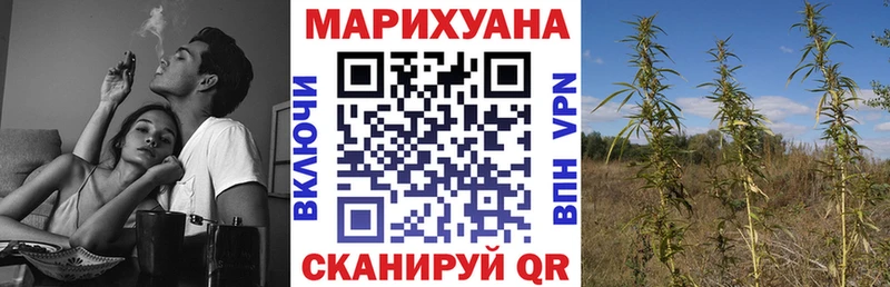 Марихуана семена Георгиевск
